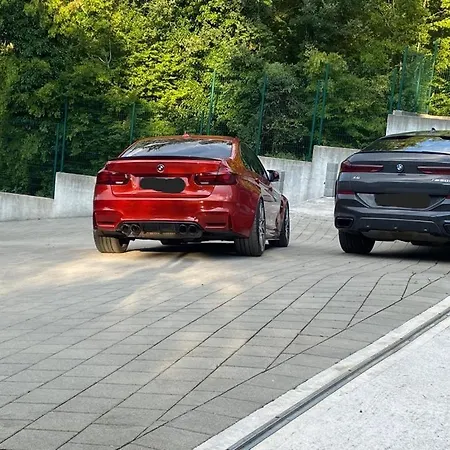 Petar Willa Svinisce