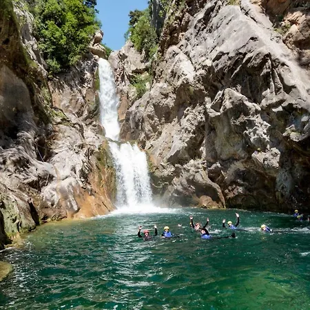 Petar Willa Svinisce