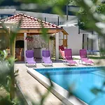 Petar Villa Svinisce