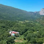 Petar * Svinisce